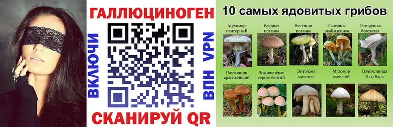 Купить где  Вольск  Псилоцибиновые грибы Magic Shrooms 